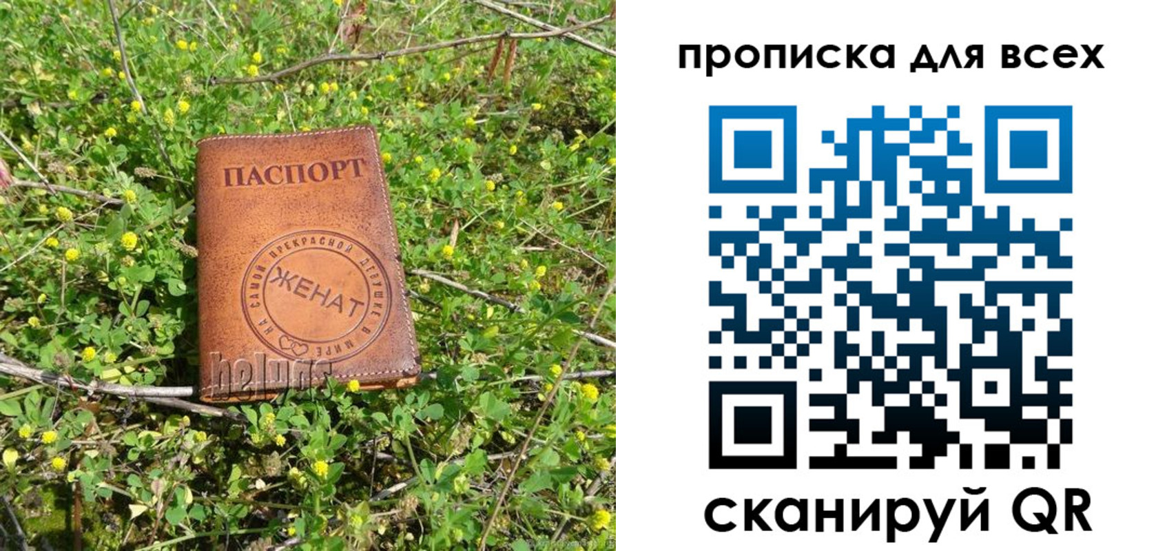 прописка поиск в Ногинске